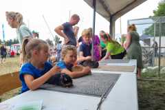 Kleindiervereniging-Frisia-Boerendag-Paardendagen-Walterswald-2025-1