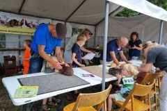Kleindiervereniging-Frisia-Boerendag-Paardendagen-Walterswald-2025-13