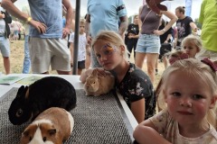 Kleindiervereniging-Frisia-konijn-Boerendag-Walterswald-5-cavia