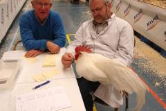 Frisia-Frieslandshow-2019-Kleindiervereniging-overzicht-Visser-haan-keuren