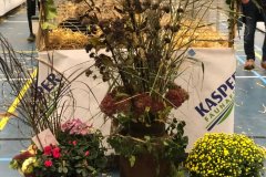 Frisia-Frieslandshow-2022-kleindiervereniging-bloemen