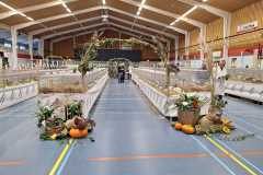 Frisia-Frieslandshow-2023-Kleindiervereniging-overzicht-1