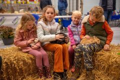 Frisia-Frieslandshow-2024-Kleindiervereniging-Holwert-2