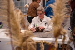 Frisia-Frieslandshow-2024-Kleindiervereniging-Holwert-cavia-3