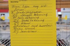 Frisia-Frieslandshow-2024-Kleindiervereniging-Wyandotte-kriel-haan-zilverpatrijs-beoordeling-Fraai