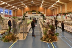 Frisia-kleindier-vereniging-overzicht-tentoonstelling-Holwert