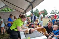 Kleindiervereniging-Frisia-Boerendag-Paardendagen-Walterswald-2025-8