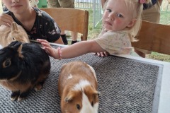 Kleindiervereniging-Frisia-konijn-Boerendag-Walterswald-4-cavia
