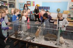 Frisia-dieren-in-de-Klas-Klyster