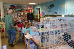 Frisia-kleindier-vereniging-dieren-in-de-klas-Friesland-Klyster-2