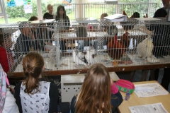Frisia-kleindier-vereniging-dieren-in-de-klas-Friesland-Klyster-5
