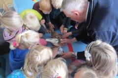 Frisia-kleindier-vereniging-dieren-in-de-klas-Friesland-Klyster-6