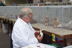 Jongdierendag-Kleindiervereniging-Frisia-26