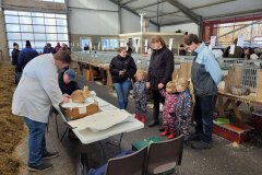 Frisia-kleindier-vereniging-Sijtze-Hansmashow-ALH-Damwald-11-03-2023-8