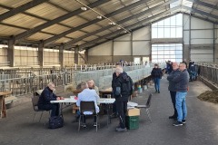 Sijtze-Hansma-Show-2025-ALH-kleindiervereniging-Frisia-1