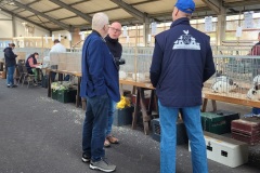 Sijtze-Hansma-Show-2025-ALH-kleindiervereniging-Frisia-2