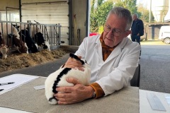Sijtze-Hansma-Show-2025-ALH-kleindiervereniging-Frisia-4-RTV-NOF-Mannelijke-konijnenkeuring