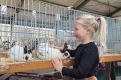 Sijtze-Hansma-Show-2025-ALH-kleindiervereniging-Konijn-Frisia-4