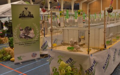 56ste Frieslandshow Levend Cultureel Erfgoed Waardevol Leven 2018