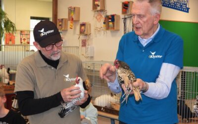 Beestenboel op de Koningin Julianaschool