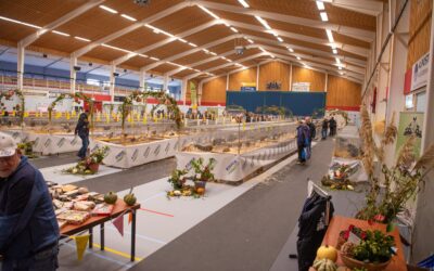 Holwerd gastheer voor 62ste editie van de Frieslandshow