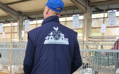Onze eigen Frisia bodywarmers, leuk en nuttig tegelijk!