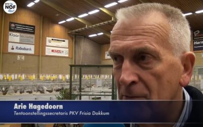 Laatste tentoonstelling de Trimmer Dokkum 2016
