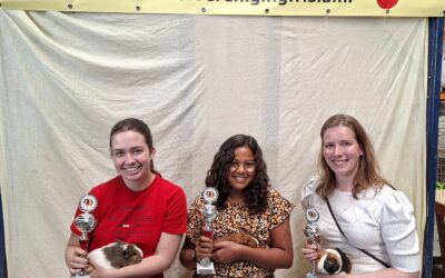 Kampioenen Cavia-knuffelkeuring Frisia Jongdierendag 2025