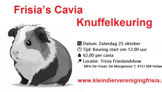 Aanmelden Cavia Knuffelkeuring tijdens Frieslandshow