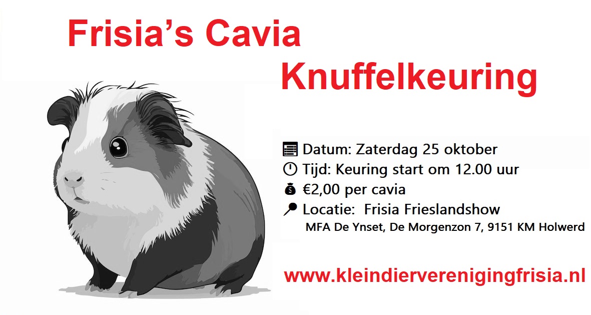Cavia knuffelkeuring Kleindiervereniging Frisia Frieslandshow Holwerd 2025 web