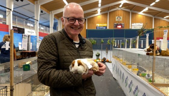 De Frieslandshow viert 63ste editie in Holwerd