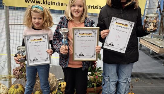 Kampioenen Cavia-knuffelkeuring op de Frieslandshow 2025