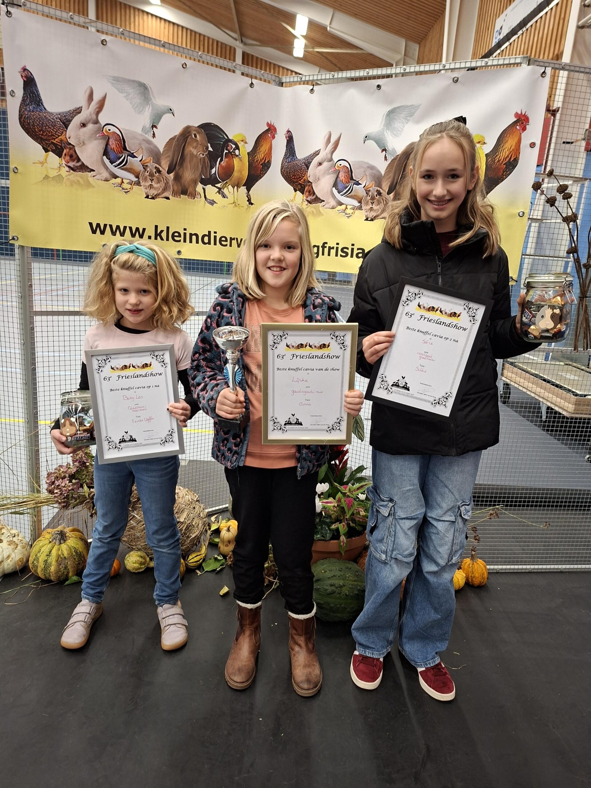 Frieslandshow 2026 cavia kleindier vereniging PKV Frisia Dokkum Holwerd kampioen knuffelkeurig